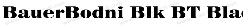 BauerBodni Blk BT Black字体转换